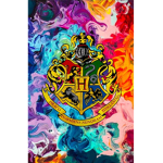 Friends having Fun (Hogwarts Common Rooms)