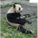 Panda For Ever Squad