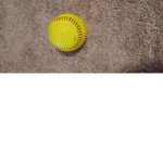 Softball fans love