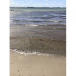 the shallow end