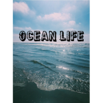 Oc3an_l1fe