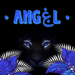 ・Angۼl・