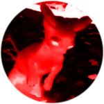 false god