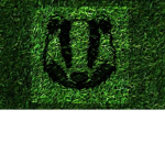 Green Bay Badgers