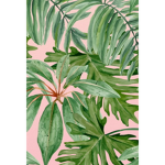 #Plant’s clothes