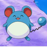 Marill Zone