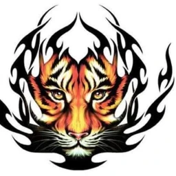 omega disco update icon