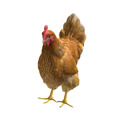BIG Chicken Suit