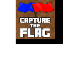 Capture The Flag