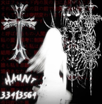 Haunt 出没