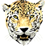 Leopard>