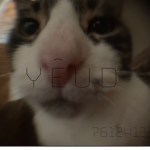 yêud