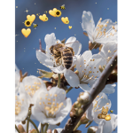 THE BABY BEE’S