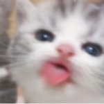 !alyqi