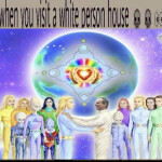 when you visit a white person house 💀💀👀