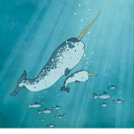 ~Nadia’s narwhals~