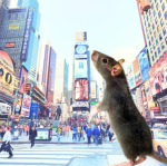 The New York City street rats