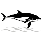 Vaquita Springs Emergency Medical Service