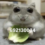 Quazitos.exe