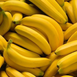 Banana Farm