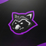 Funny_Racoon!!!