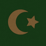 Bosnian Revolutionary State