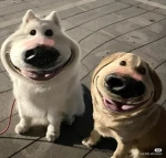 Group Thumbnail