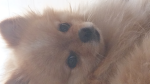 g._.g