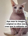 catsunu