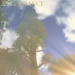 Ascendance icon