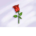 Rose Petal Productions