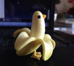 Chick Group Of Yay