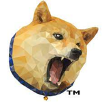 Doge*Studio