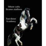 Sun-Down Academy