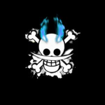 The NewBeard Pirates