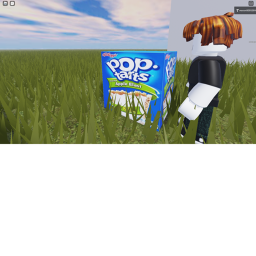 su tart gets pop tarts