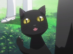 BLEACH_YWLE