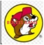 Ilovebucees1238
