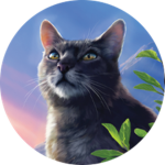 (_-+- Warrior Cats RP Group-+-_)