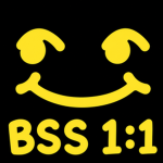 BSS 1:1