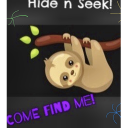 Sloth Society Jungle Hide and Seek