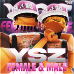 YSZ