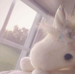 purest heartz