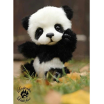 My pandasss