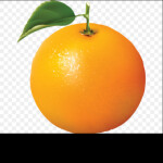 Sonic.exe: A Disaster