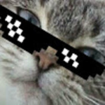Gato con botas