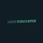 angels ############ ########