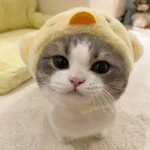 pooh’