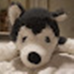Husky Squad (OFFICIAL)