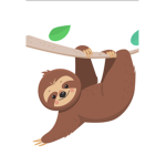 Sloths n’ cats